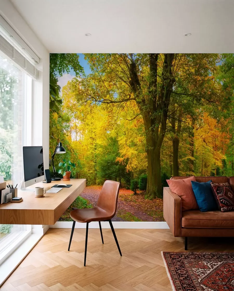 murales de pared Primer oro del otoño u08547
