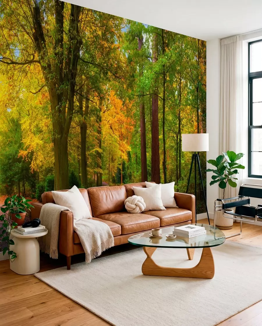murales de pared Primer oro del otoño u08547