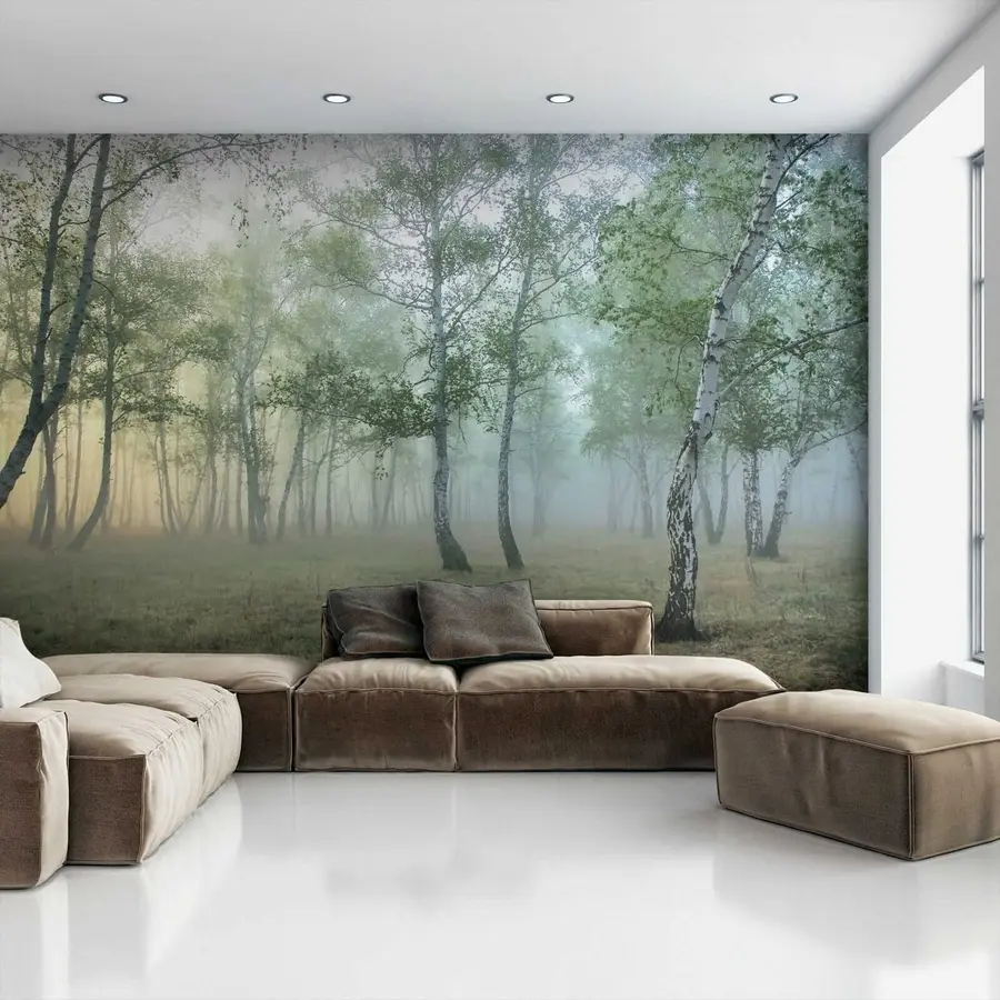 murales de pared Bosque de abedules de niebla u25820