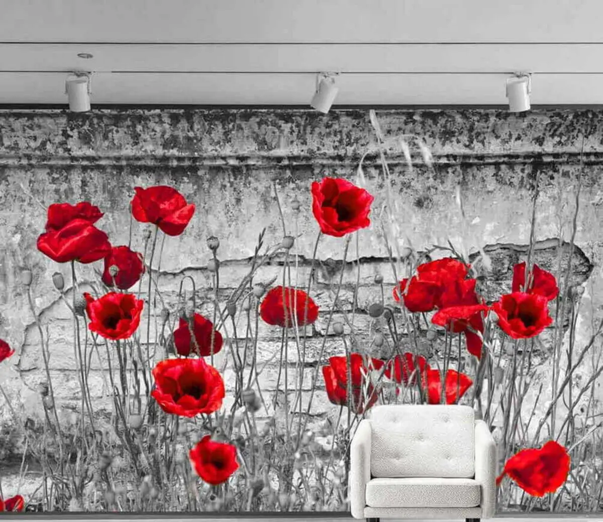 murales de pared Amapolas brillantes en el fondo de la pared. u40552
