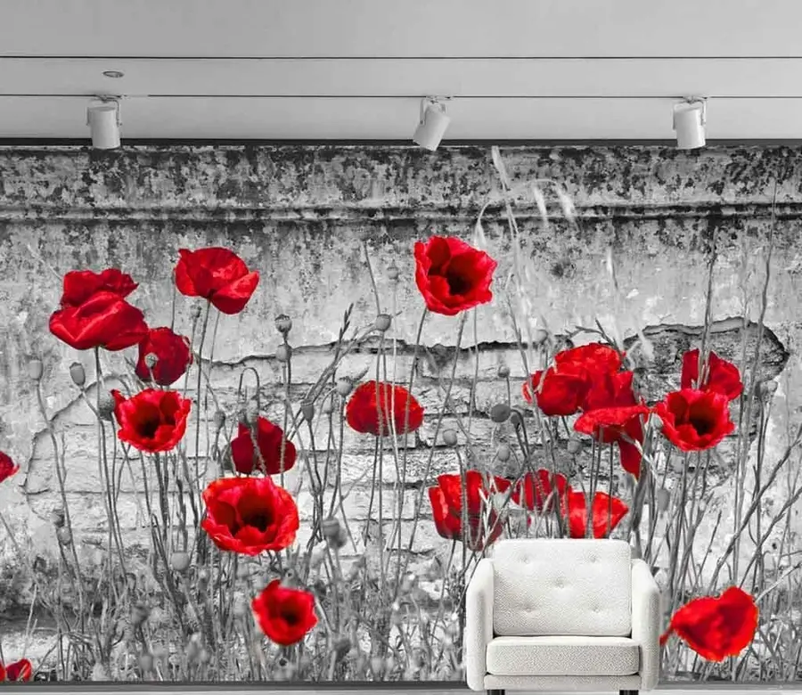 murales de pared Amapolas brillantes en el fondo de la pared. u40552