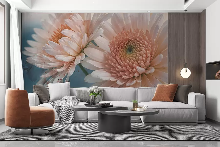 murales de pared Flores de margarita gerbera de color rosa suave con delicados pétalos y textura sobre un fondo azul claro  w08272