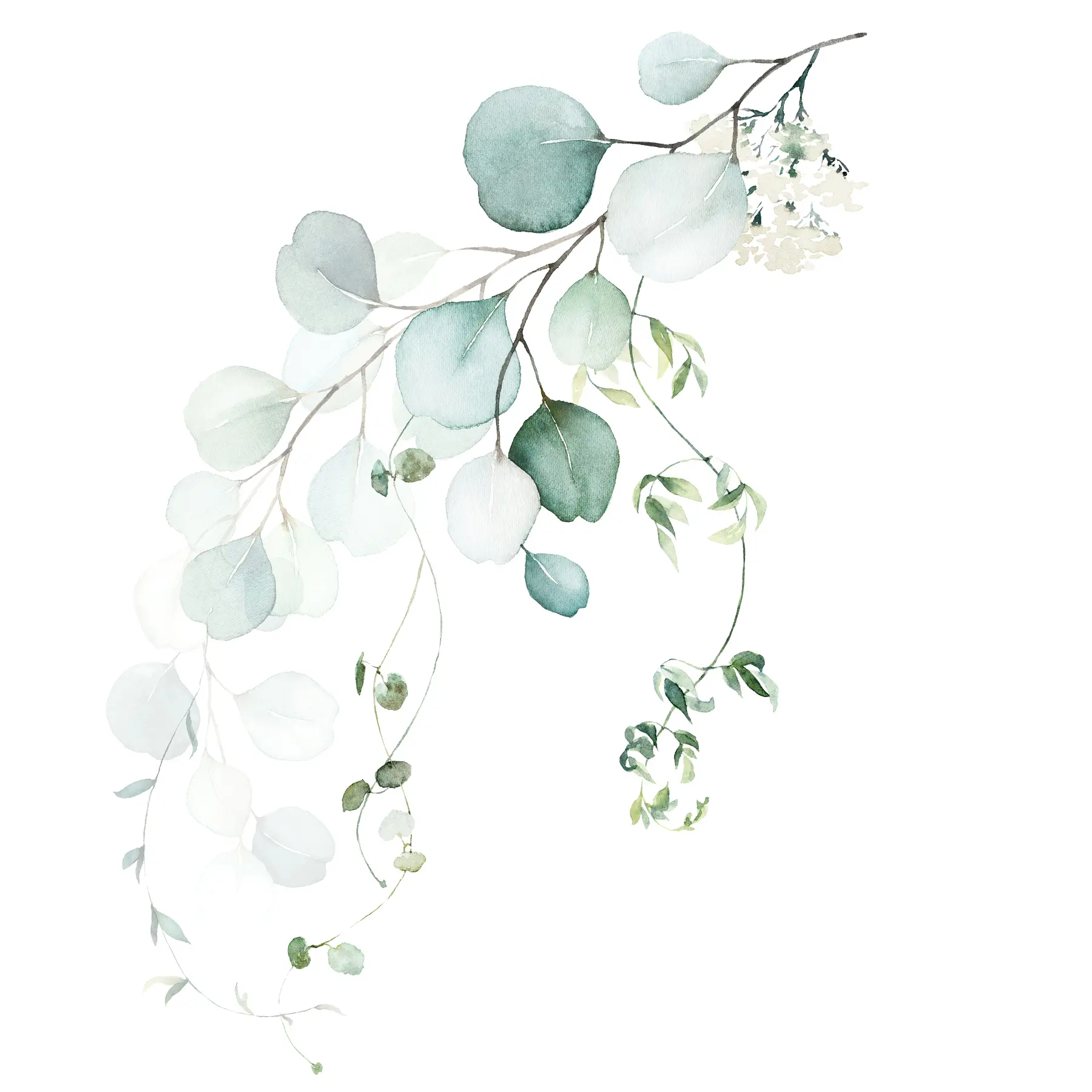 murales de pared rama con hojas u51026