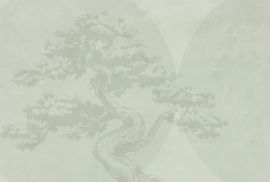murales de pared Bonsai árbol minimalismo geometría grunge fondo w08557v2