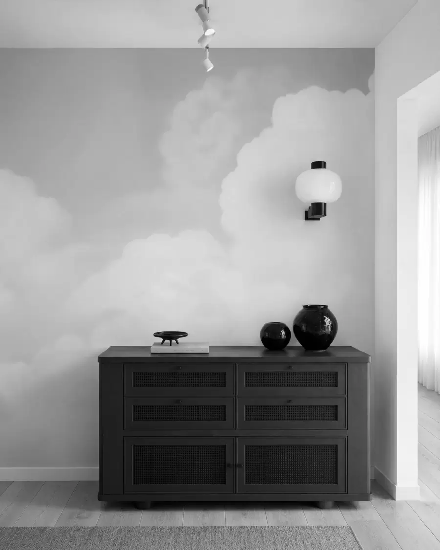 murales de pared Nubes en gris plata w03301v3