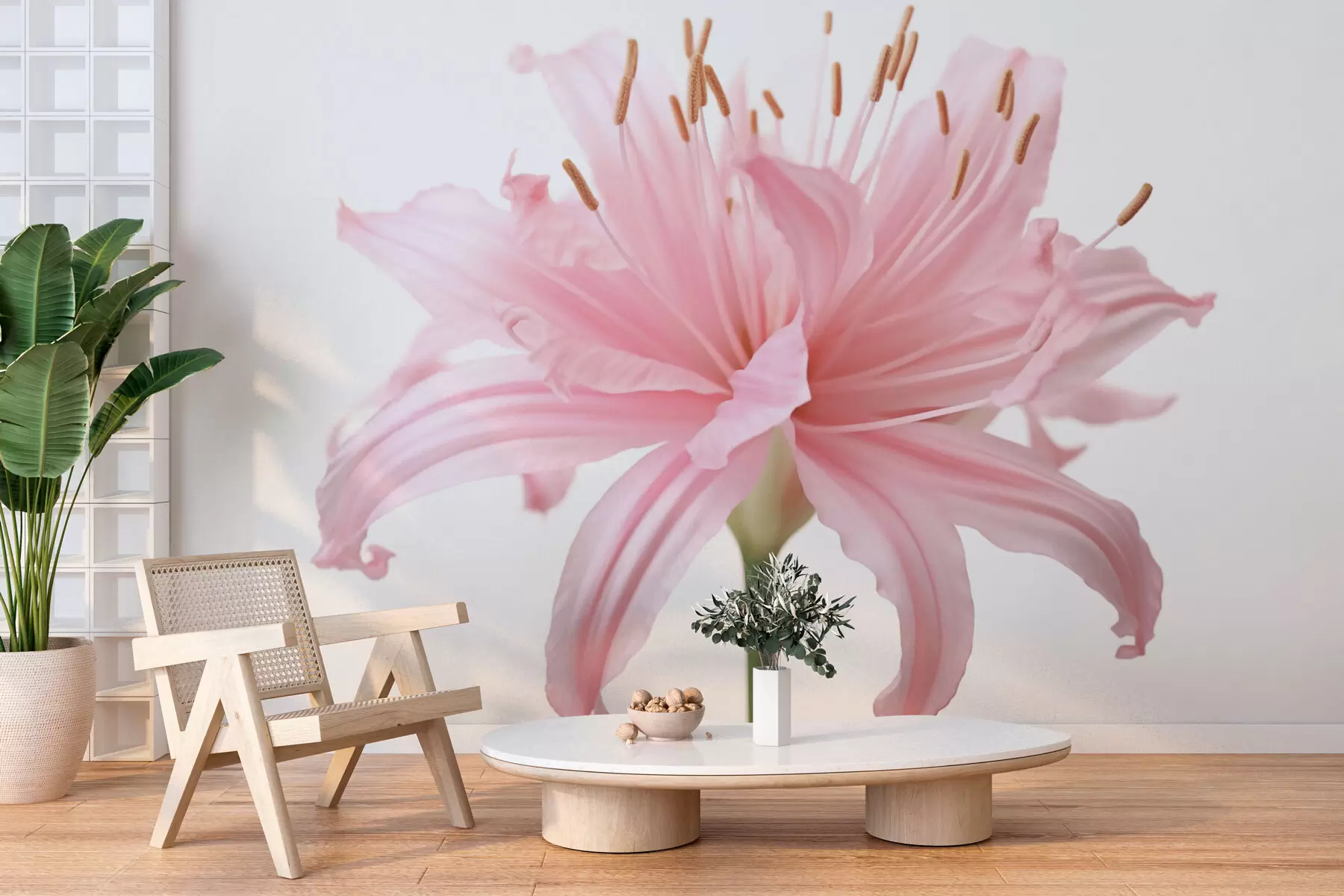 murales de pared Gran flor rosa w03488