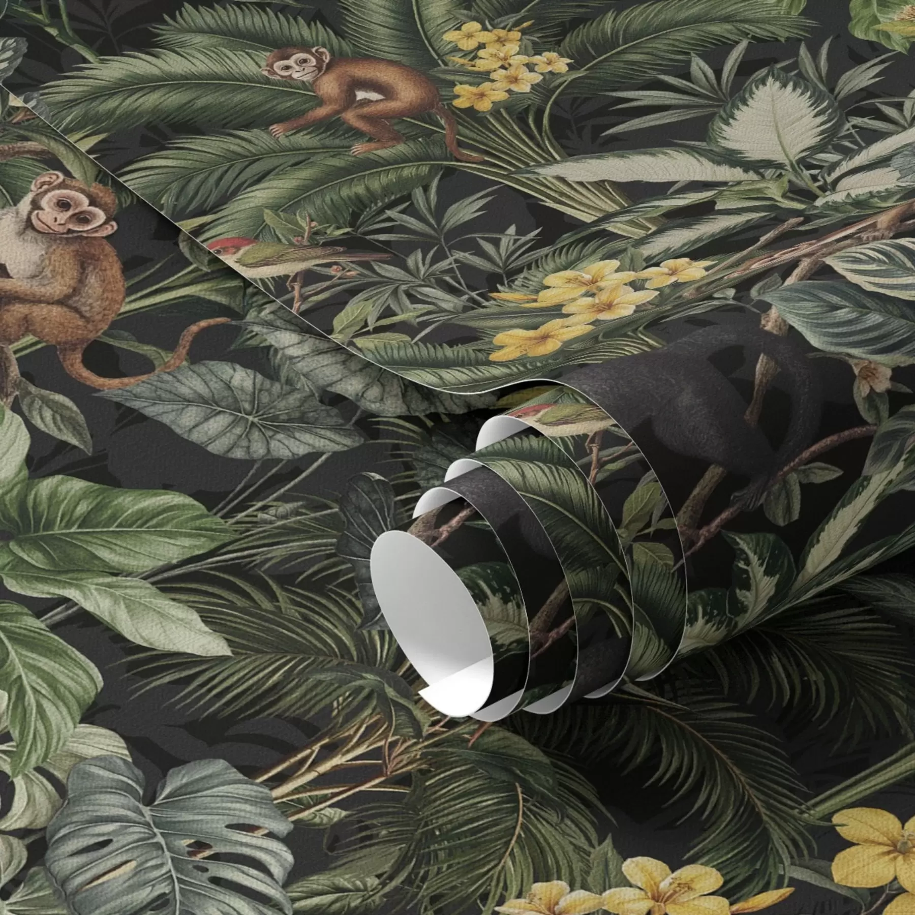 murales de pared Selva tropical con monos, pájaros y denso follaje a00191