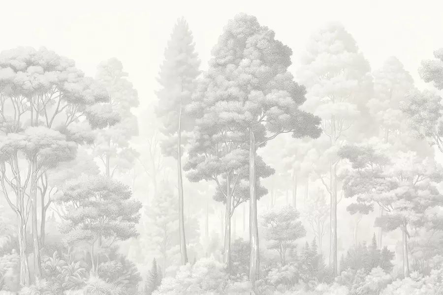 murales de pared Paisaje forestal artístico en la técnica del sombreado gráfico en blanco y negro w09411