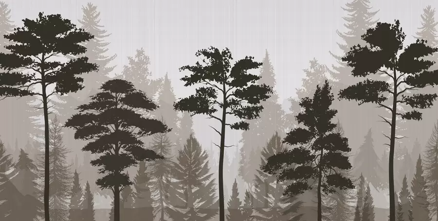 murales de pared Bosque brumoso w04678