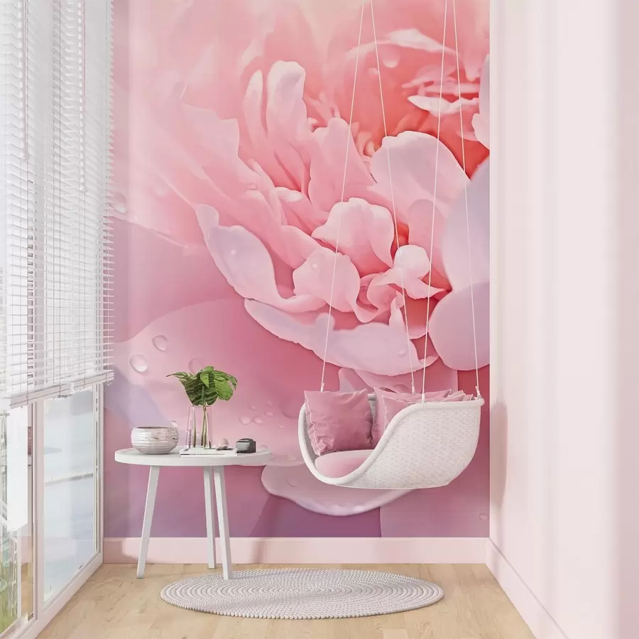 murales de pared Pétalos grandes de peonía w04715