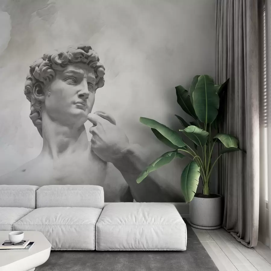 Murales de pared Espíritu renacentista w04767 murales de pared Espíritu renacentista w04767