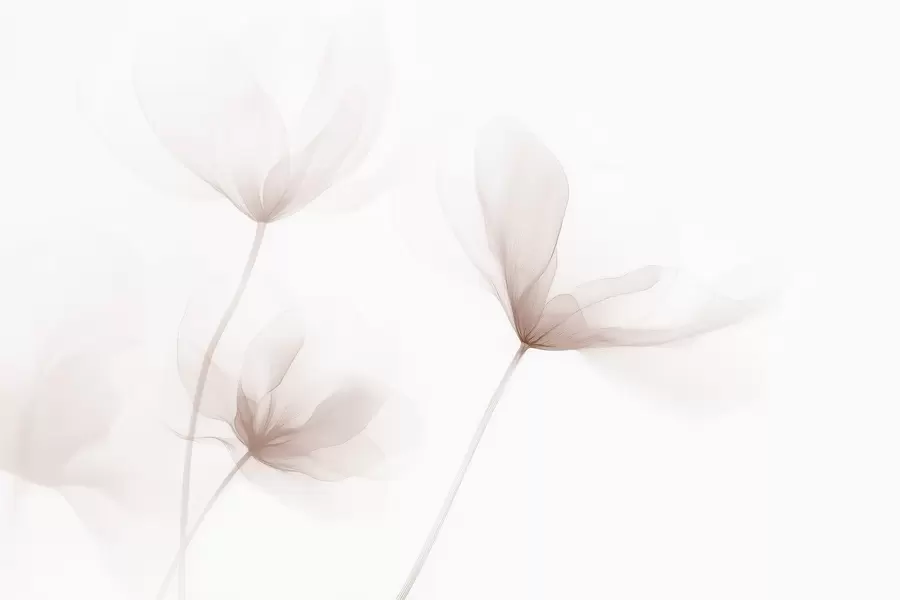 murales de pared Flores beige aireadas en un estilo minimalista y ligero. w09734