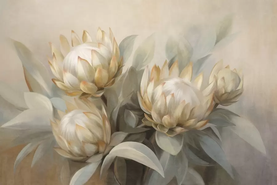 murales de pared Flores de protea con textura, hojas verdes y un fondo suave y difuminado. w09738