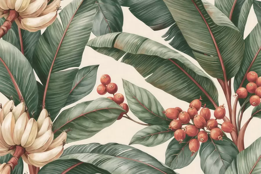 murales de pared Hojas de plátano tropicales con racimos de bayas de café rojas, estilo acuarela w09997