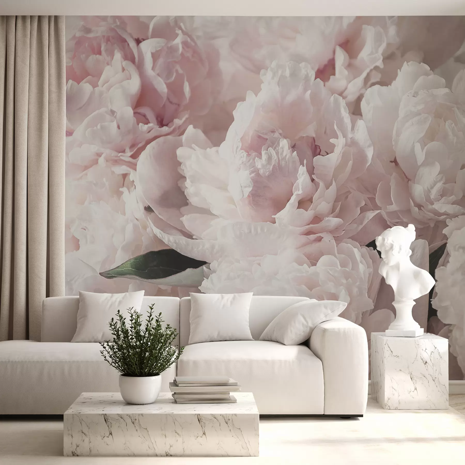 murales de pared Peonías de color rosa pálido u59600