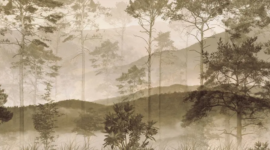 murales de pared Valle de pinos en sepia u97058