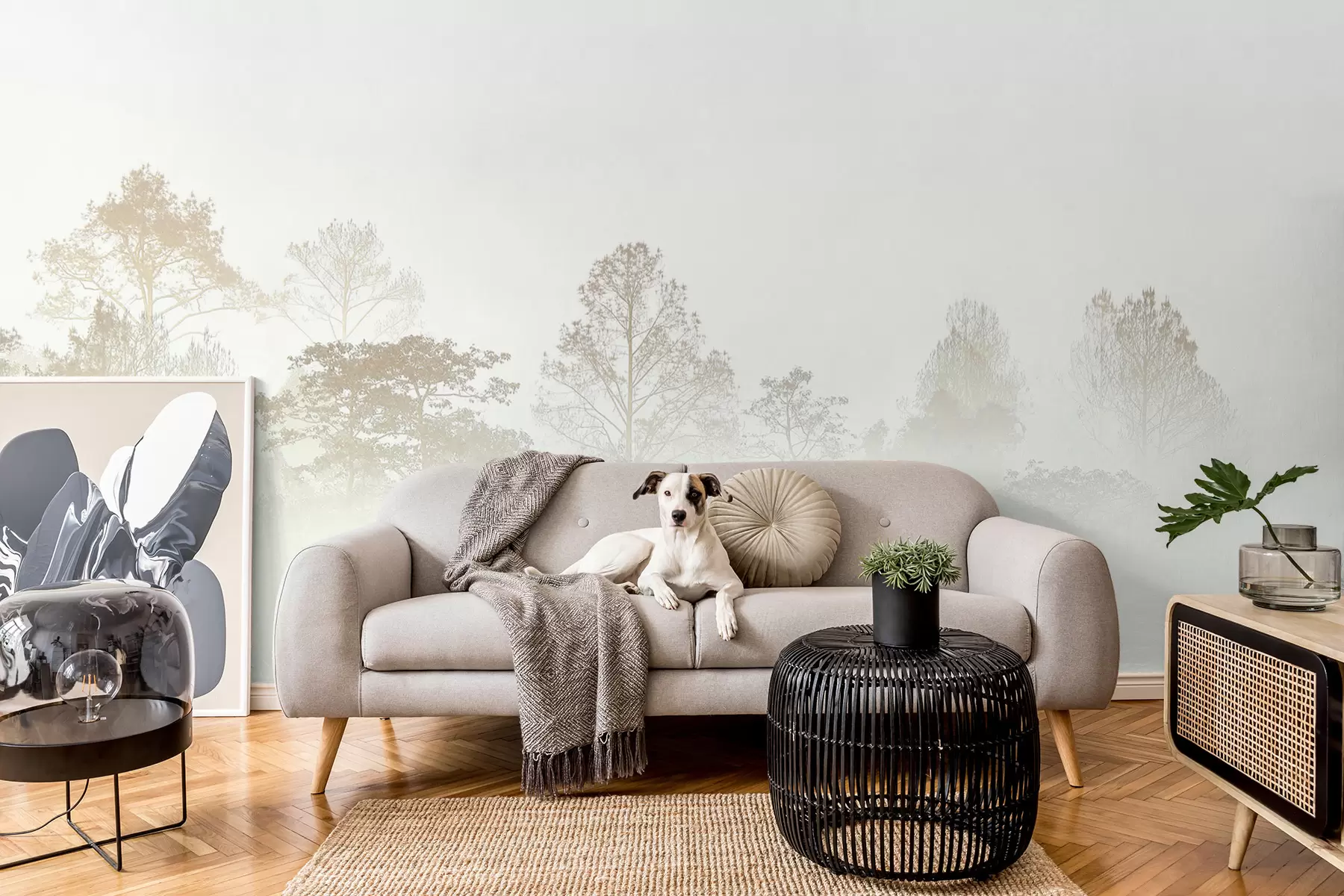 murales de pared Silueta de una arboleda en la espesa niebla blanca de la mañana u97405