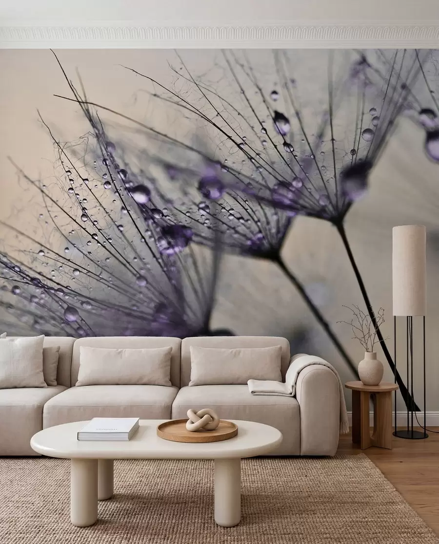 murales de pared Diente de león con rocío lila u57557v3