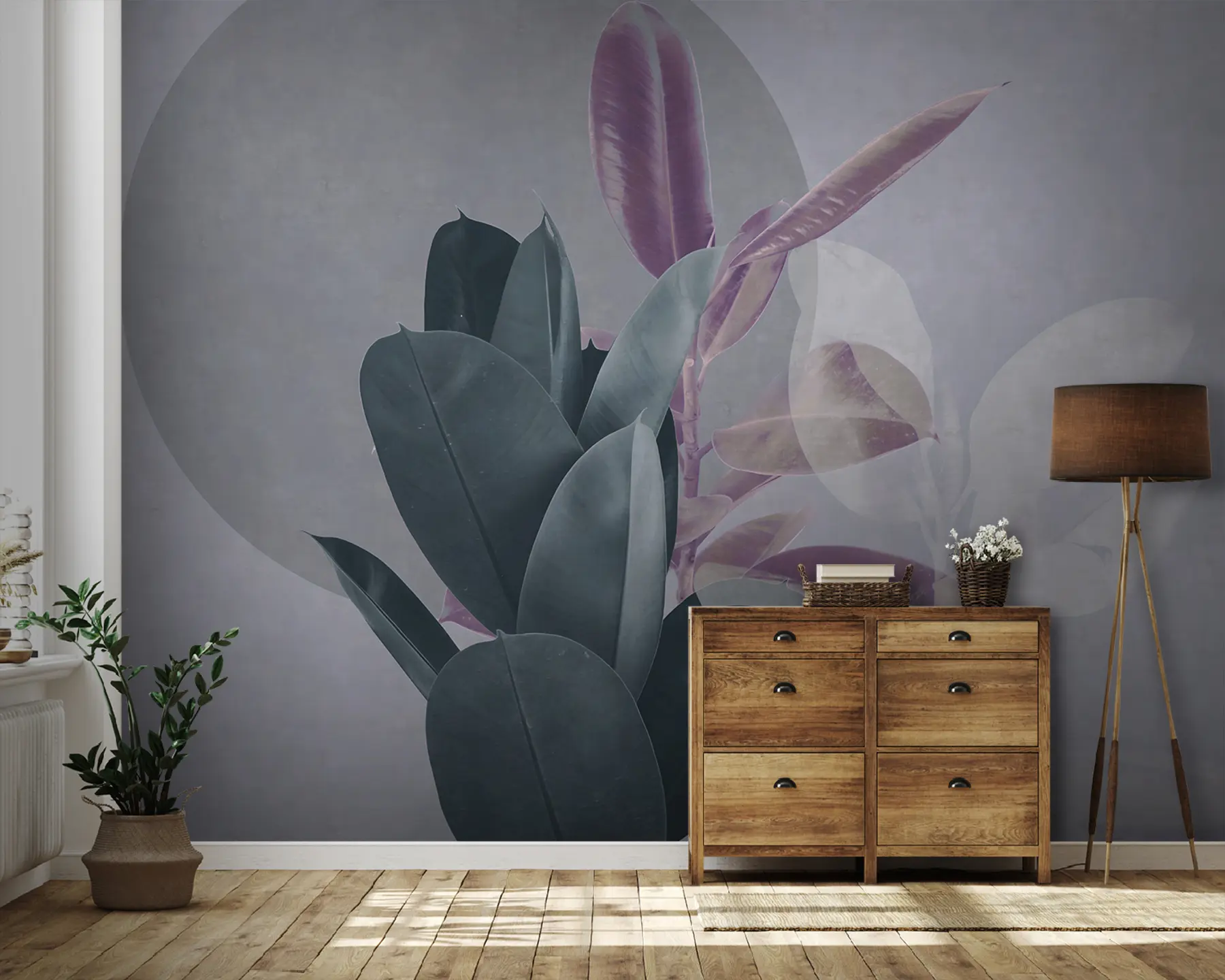 murales de pared Ficus sobre un fondo de una pared grunge en tonos grises u71334v3