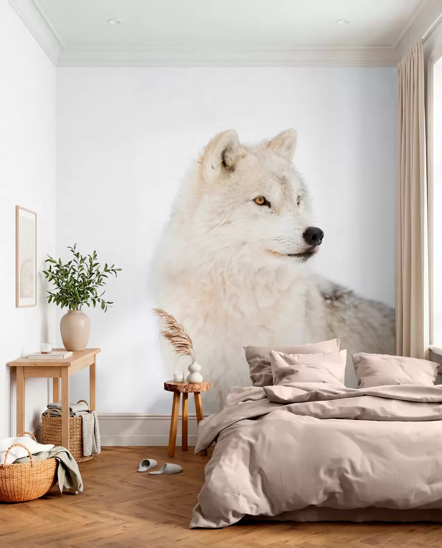murales de pared Retrato de lobo blanco u98189