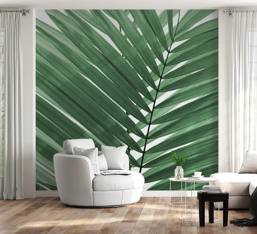 murales de pared Hojas de palmera u97550v2