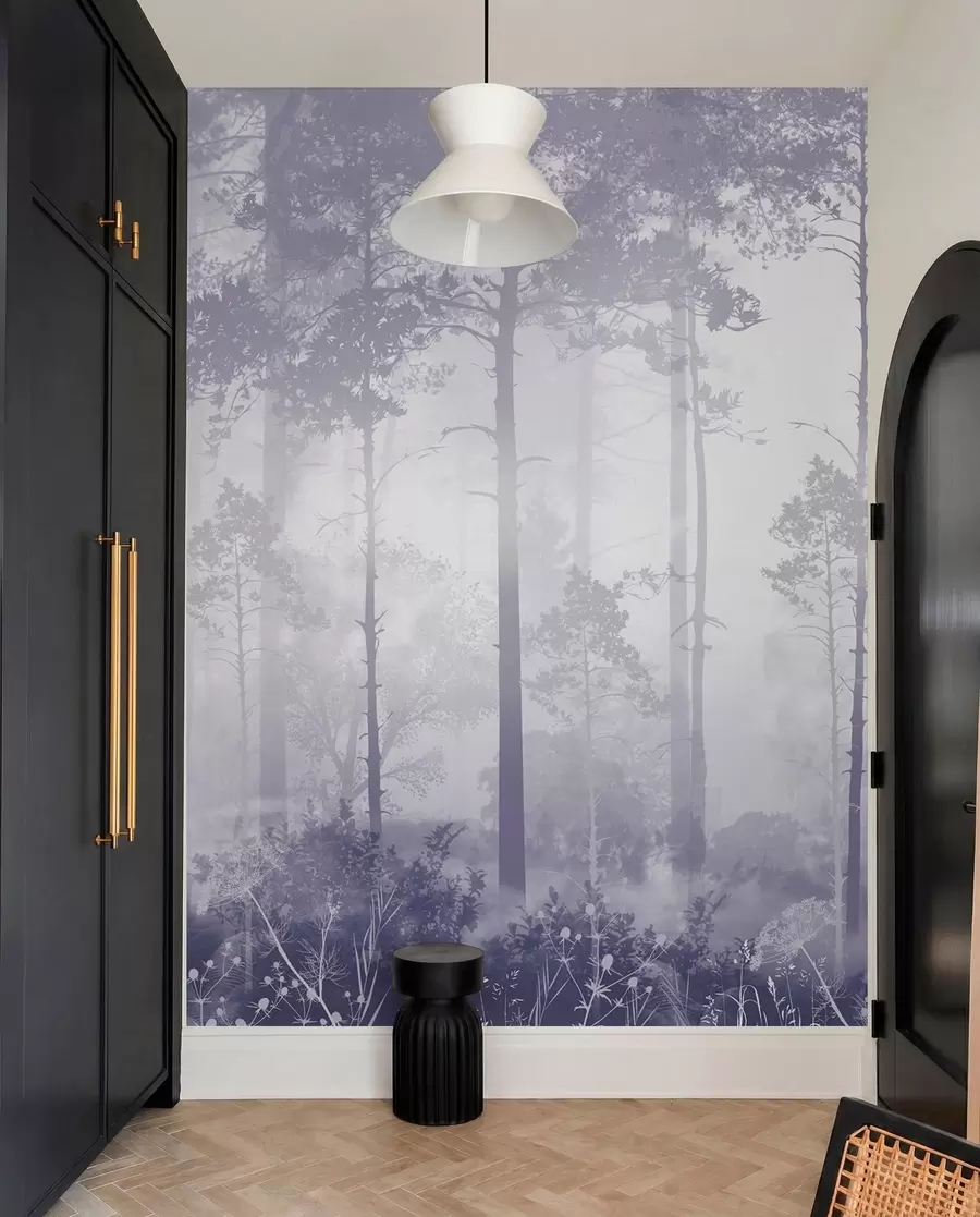 murales de pared El bosque en la niebla u94439v4